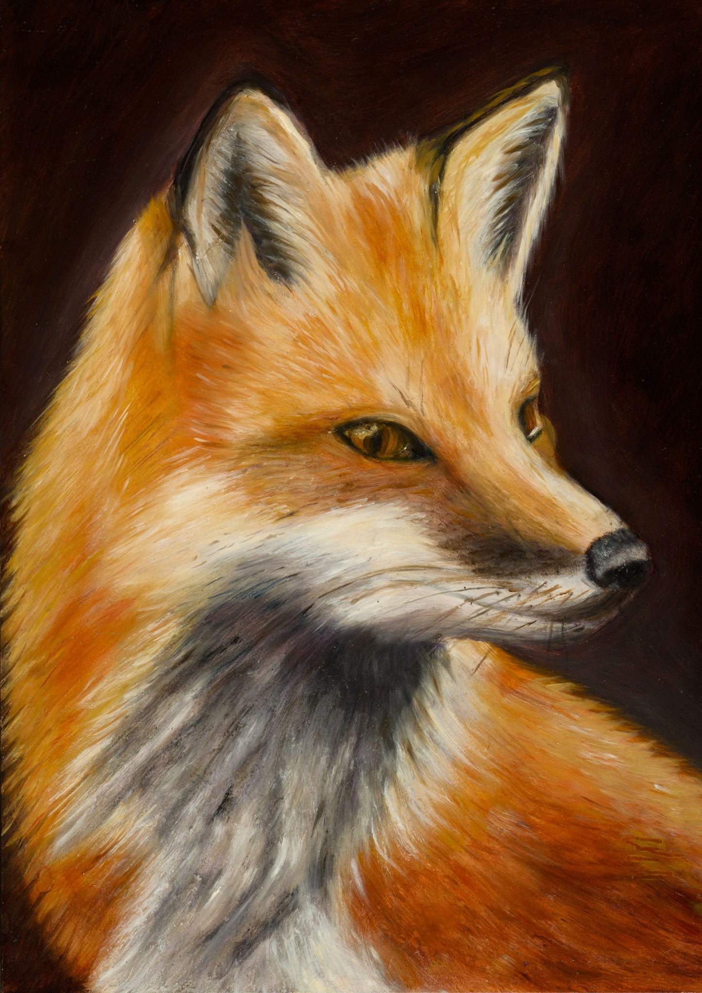 Giclée art print of an Irish red fox, A3 415×294mm, on archival Hahnemühle paper, by Irish artist Marie McDwyer