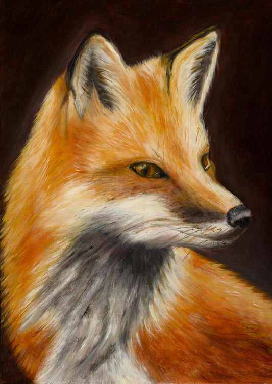 Giclée art print of an Irish red fox, A3 415×294mm, on archival Hahnemühle paper, by Irish artist Marie McDwyer